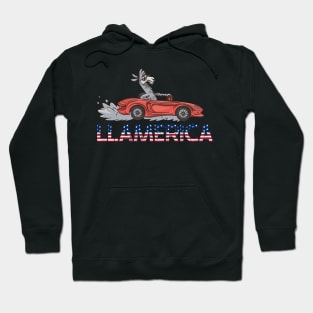 Llamerica funny llama funny alpaca america Hoodie